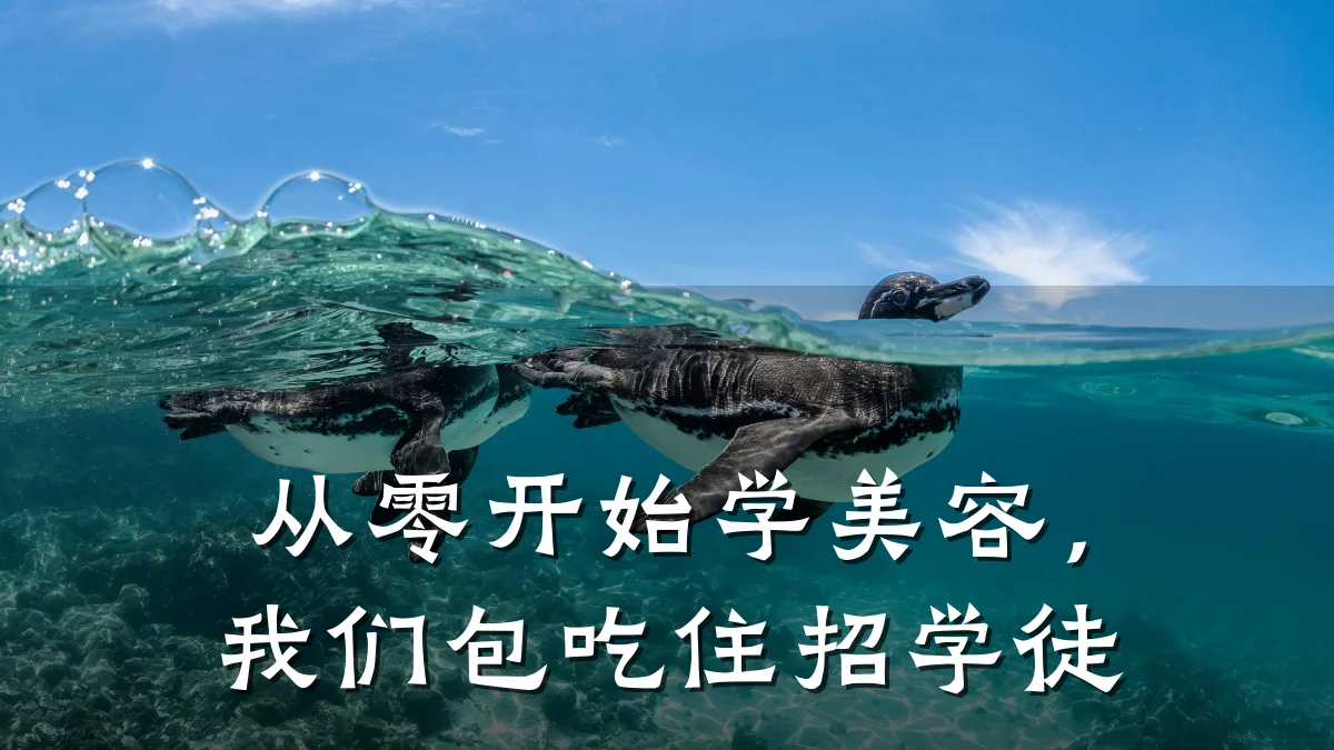从零开始学美容，我们包吃住招学徒