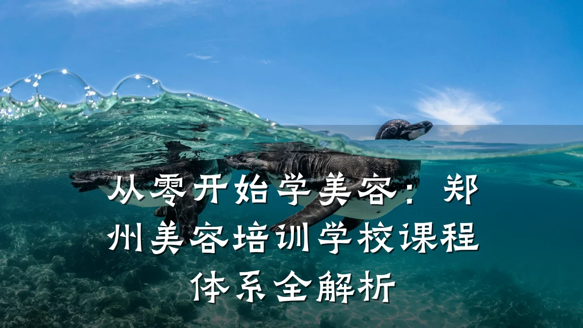 从零开始学美容：郑州美容培训学校课程体系全解析
