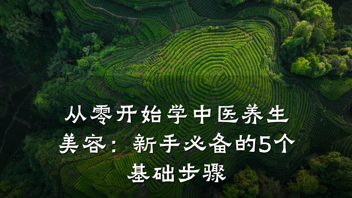 从零开始学中医养生美容：新手必备的5个基础步骤