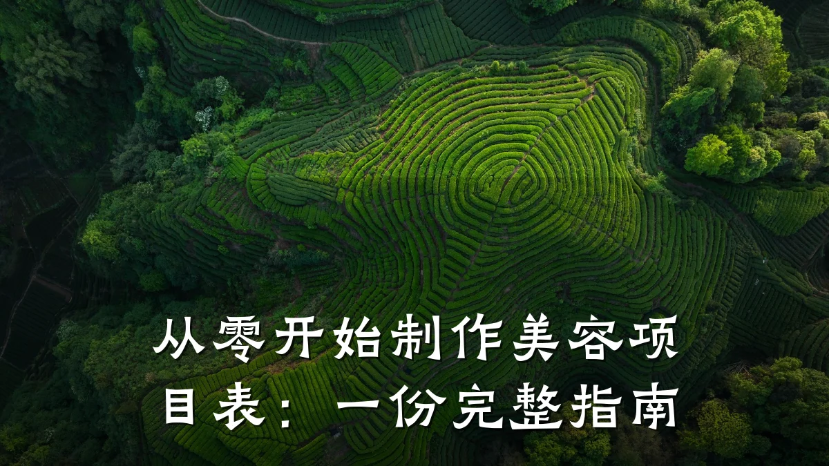 从零开始制作美容项目表：一份完整指南