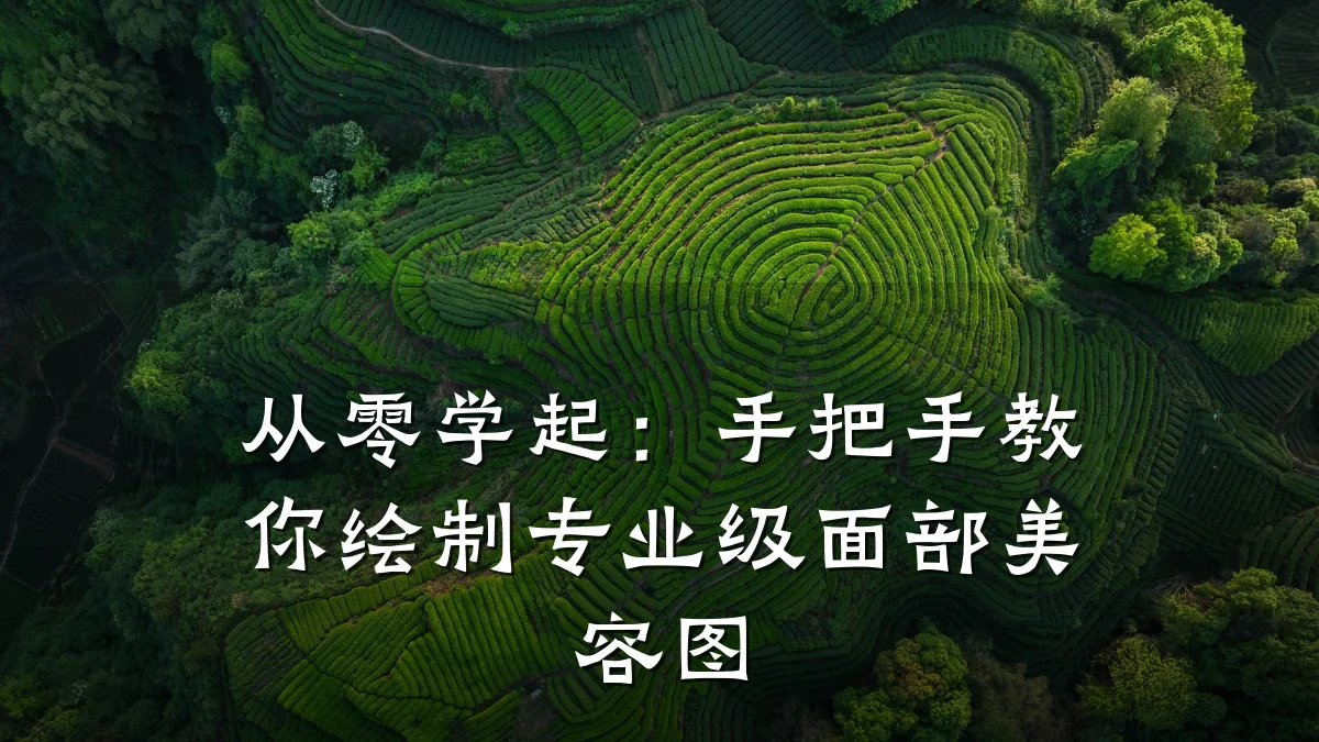 从零学起：手把手教你绘制专业级面部美容图