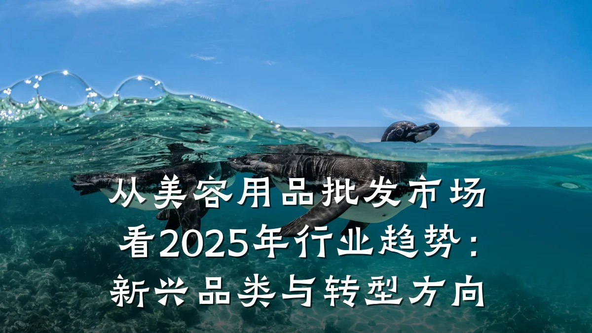从美容用品批发市场看2025年行业趋势：新兴品类与转型方向