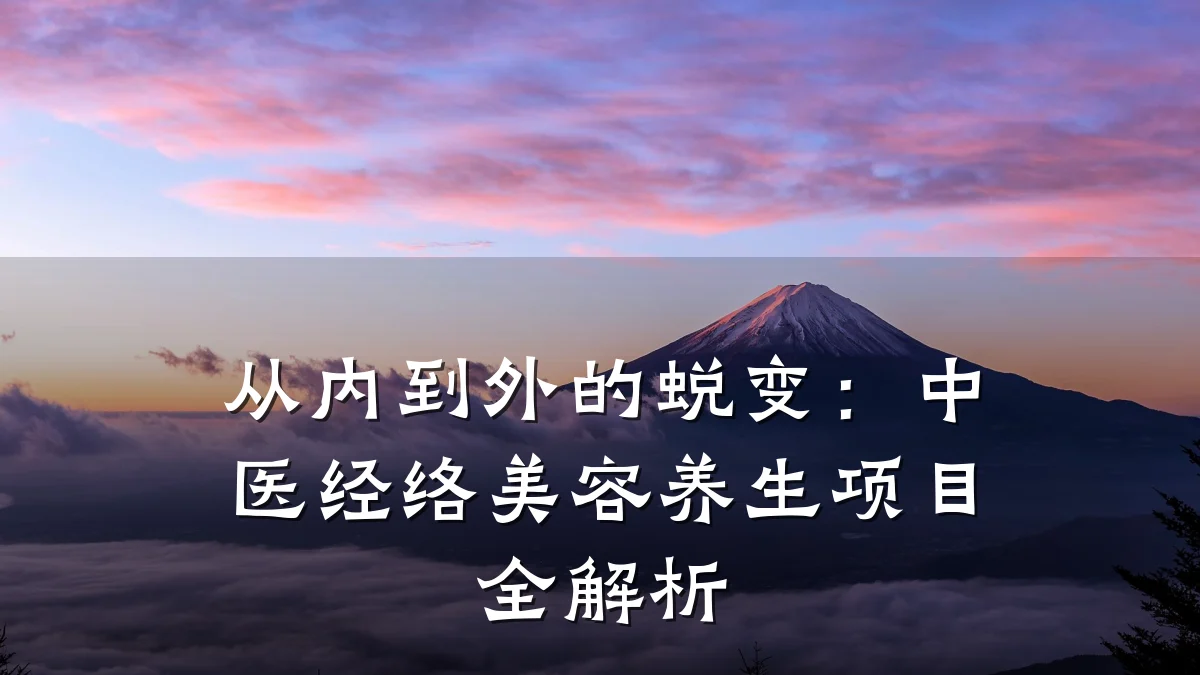 从内到外的蜕变:中医经络美容养生项目全解析