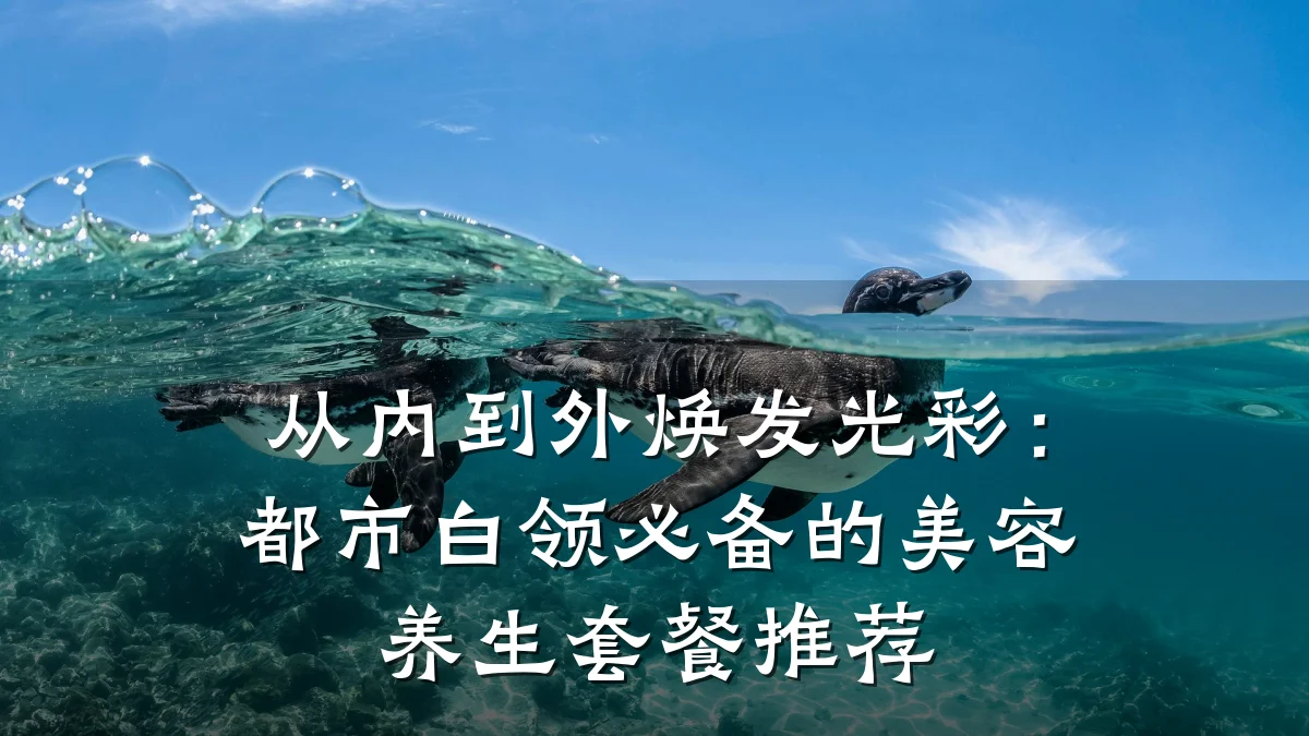 从内到外焕发光彩:都市白领必备的美容养生套餐推荐