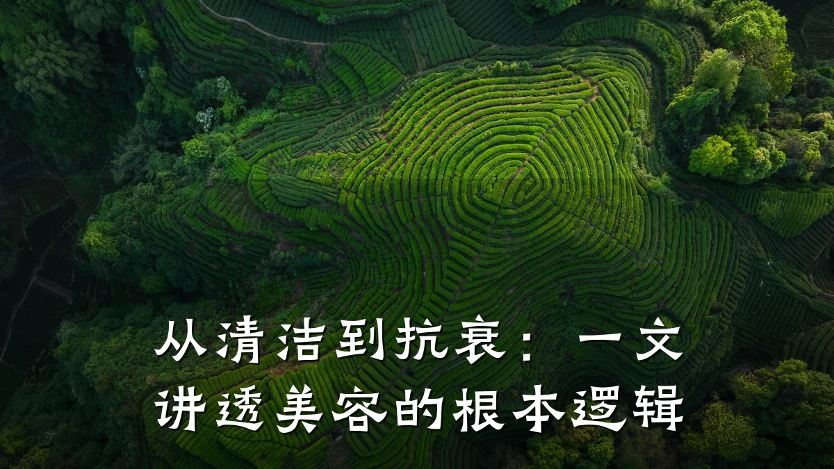 从清洁到抗衰:一文讲透美容的根本逻辑