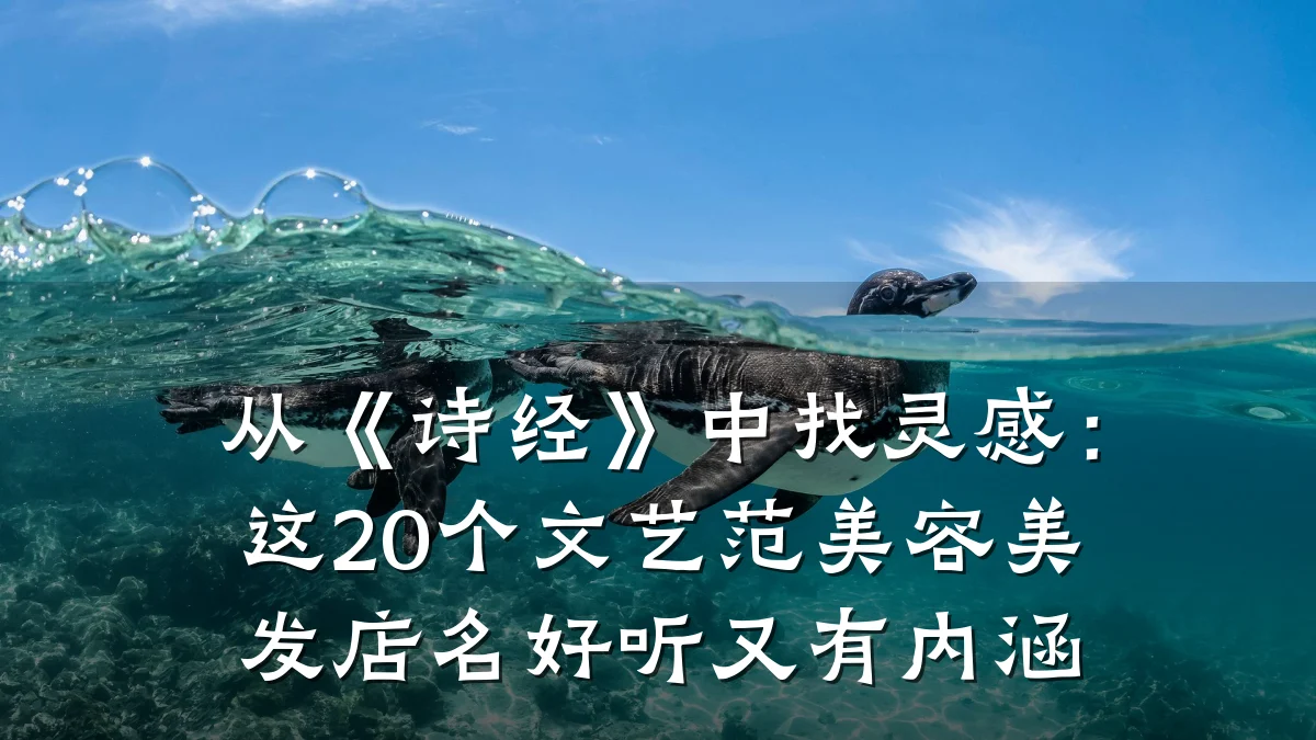 从《诗经》中找灵感：这20个文艺范美容美发店名好听又有内涵