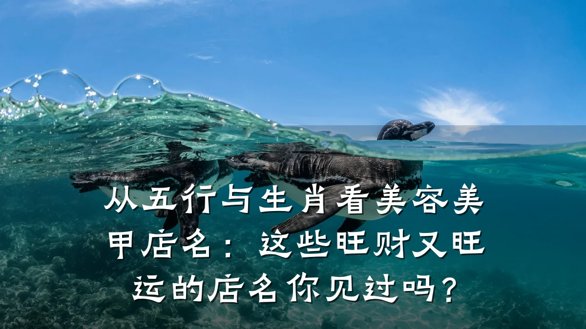 从五行与生肖看美容美甲店名：这些旺财又旺运的店名你见过吗？