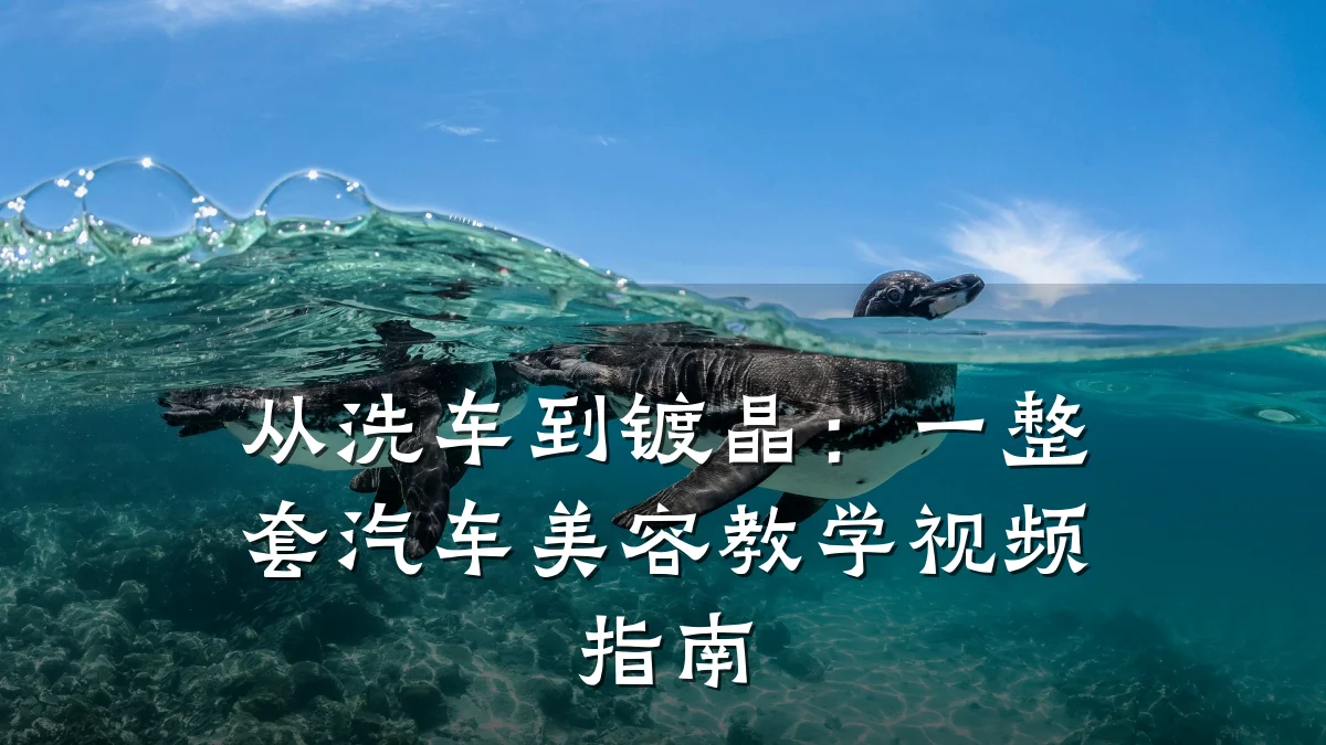 从洗车到镀晶:一整套汽车美容教学视频指南