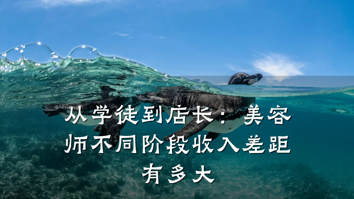 从学徒到店长：美容师不同阶段收入差距有多大