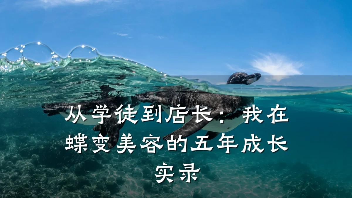 从学徒到店长：我在蝶变美容的五年成长实录
