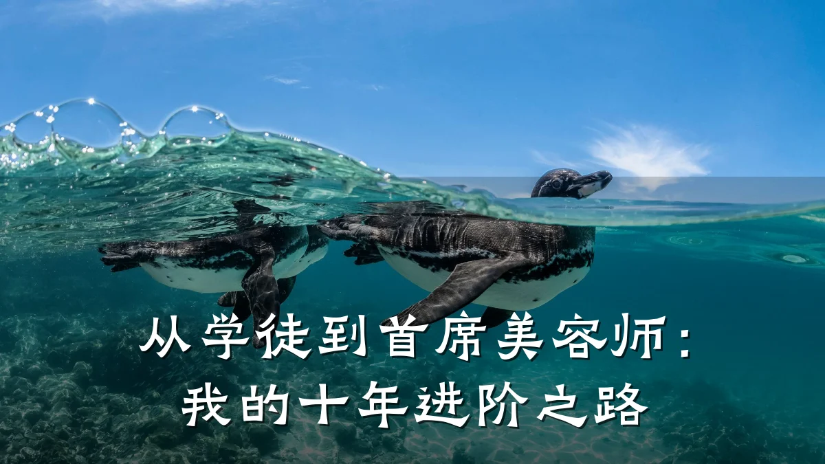 从学徒到首席美容师:我的十年进阶之路