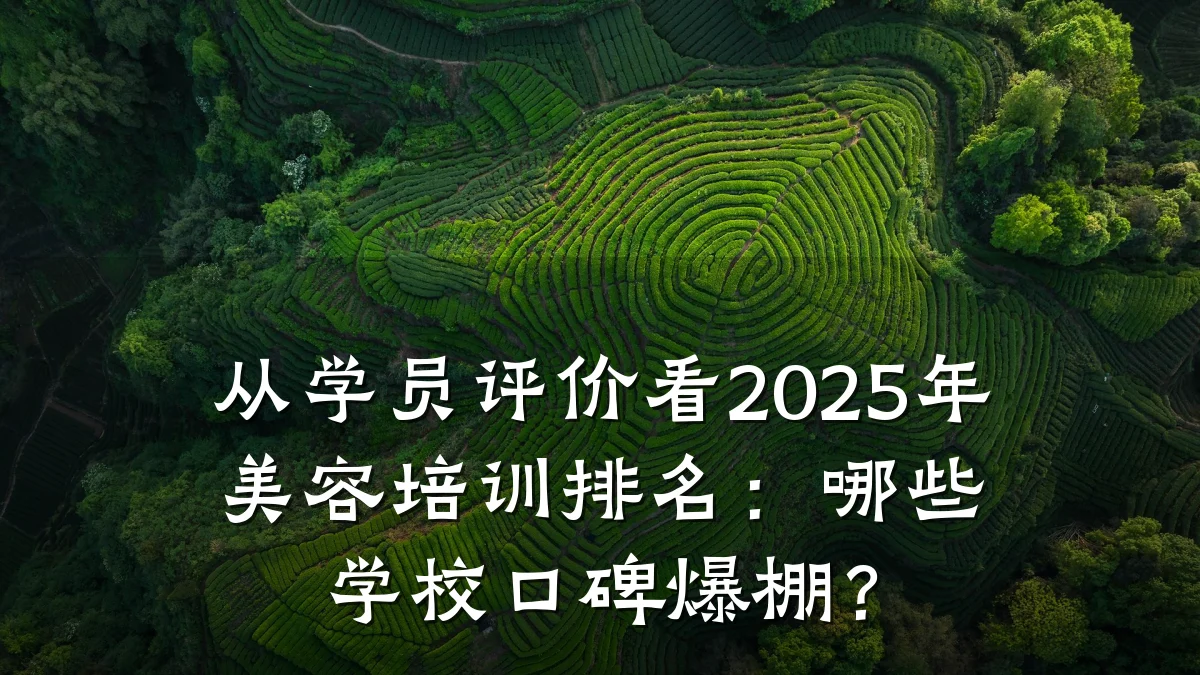 从学员评价看2025年美容培训排名：哪些学校口碑爆棚？