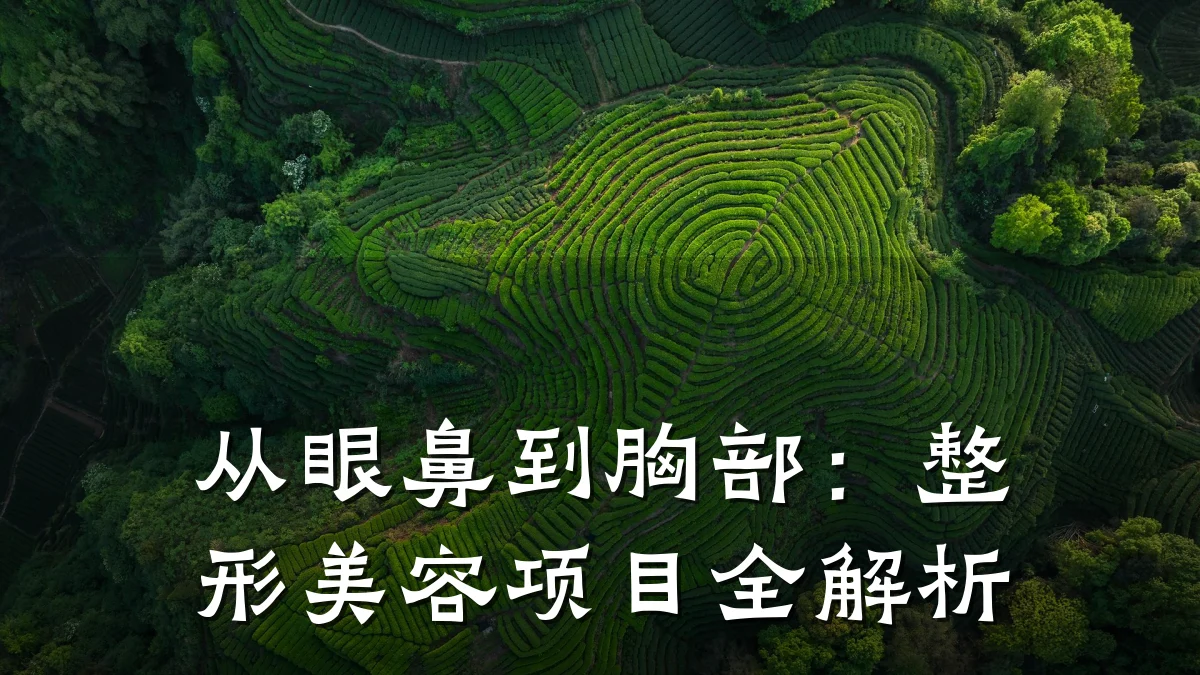 从眼鼻到胸部：整形美容项目全解析