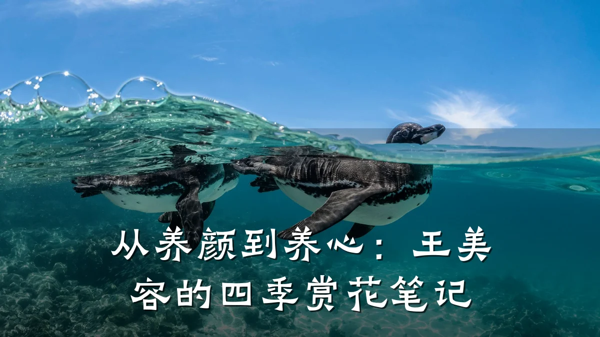从养颜到养心：王美容的四季赏花笔记