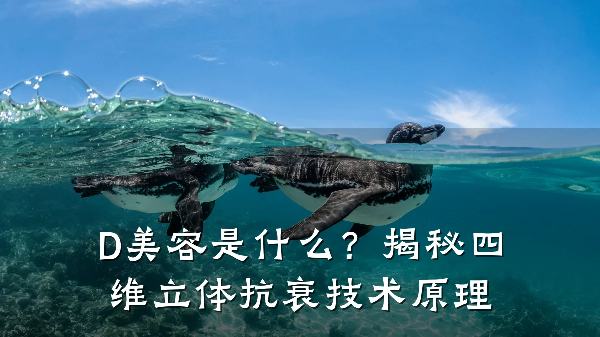 D美容是什么？揭秘四维立体抗衰技术原理
