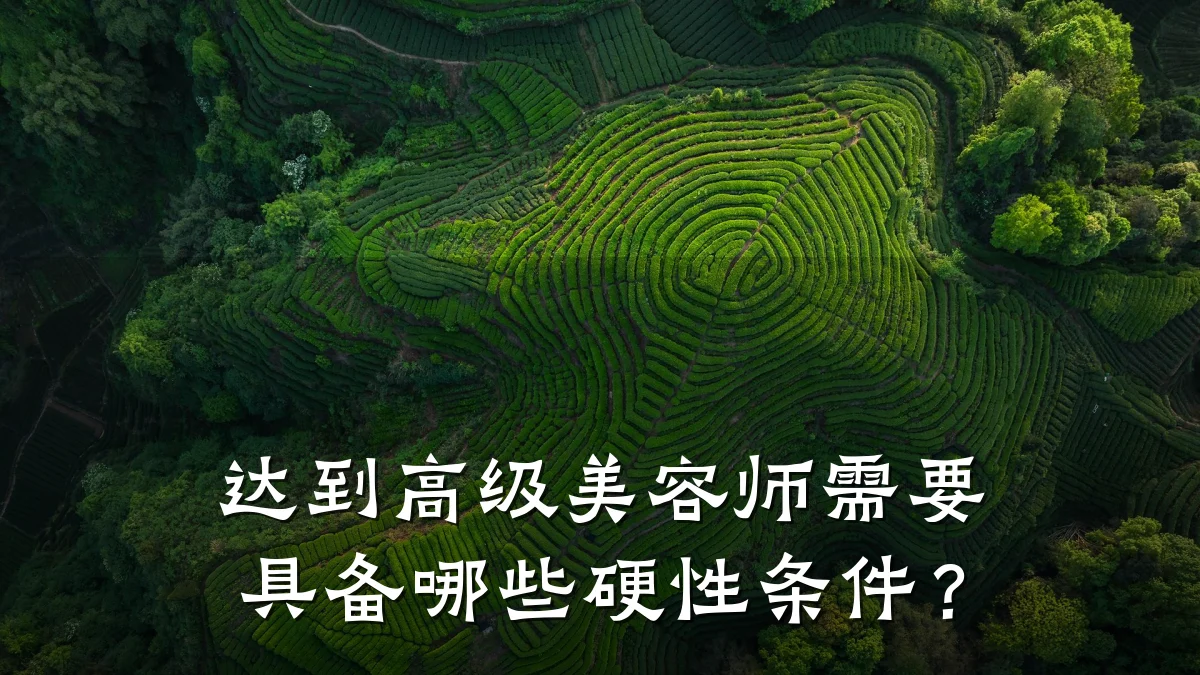 达到高级美容师需要具备哪些硬性条件？
