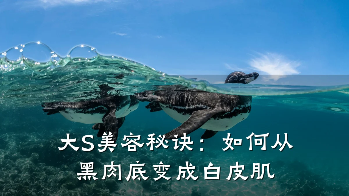 大S美容秘诀:如何从黑肉底变成白皮肌