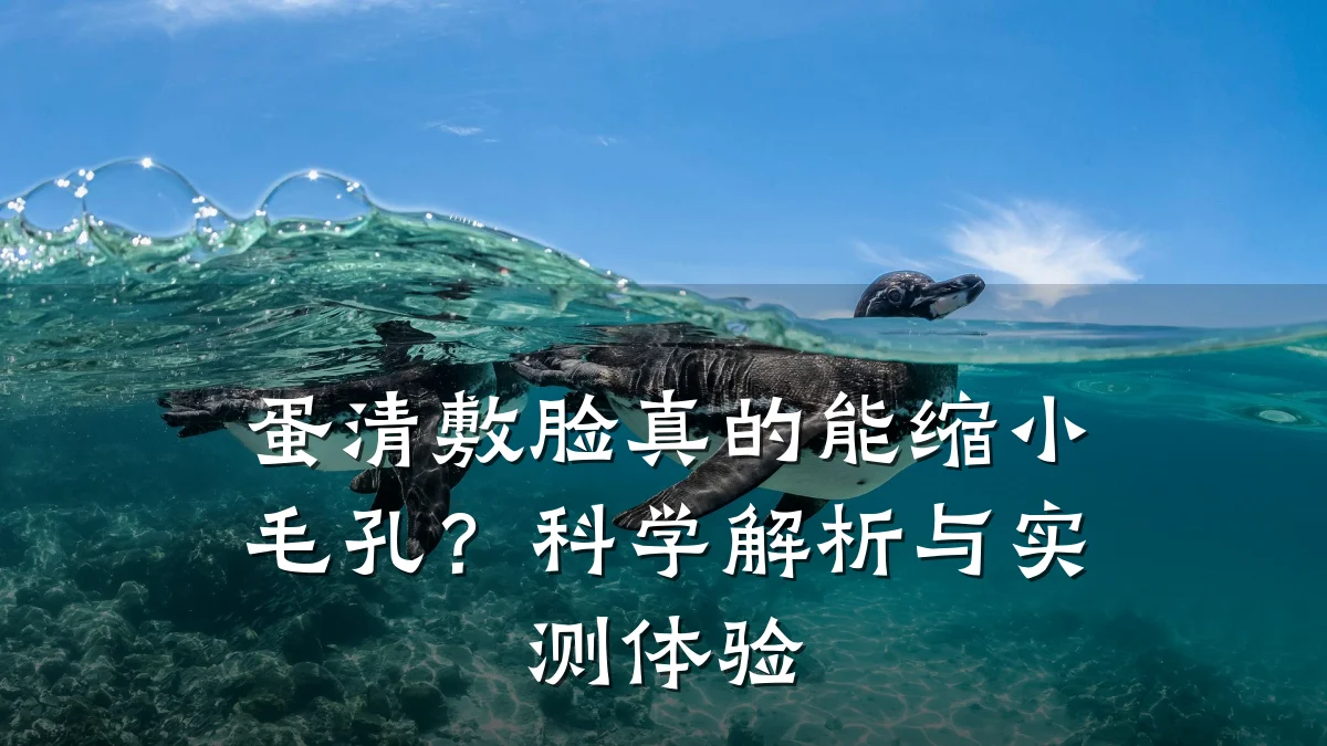 蛋清敷脸真的能缩小毛孔?科学解析与实测体验