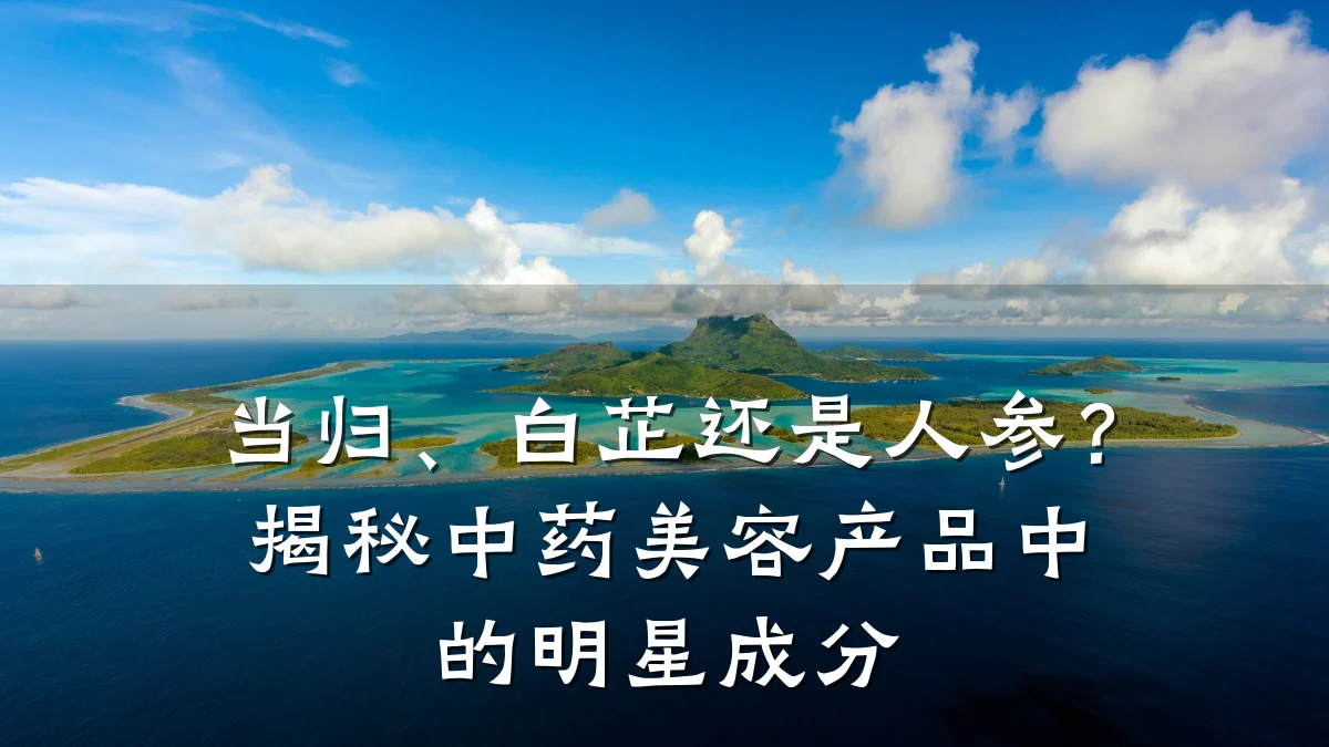 当归、白芷还是人参？揭秘中药美容产品中的明星成分