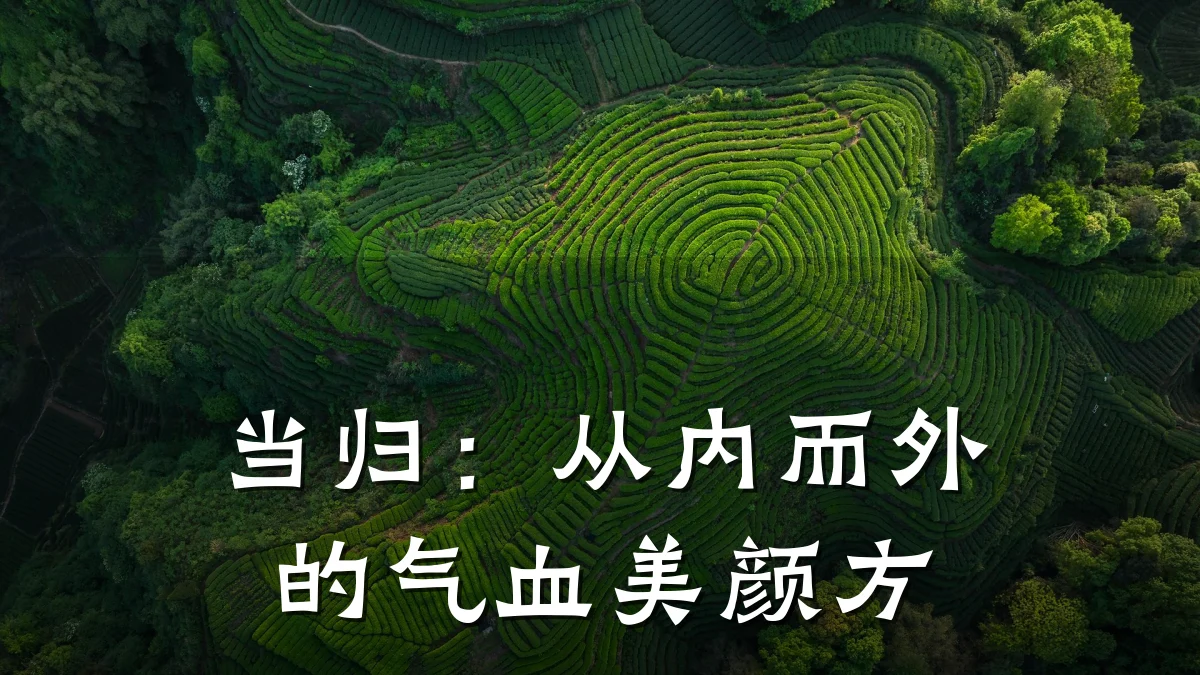 当归:从内而外的气血美颜方