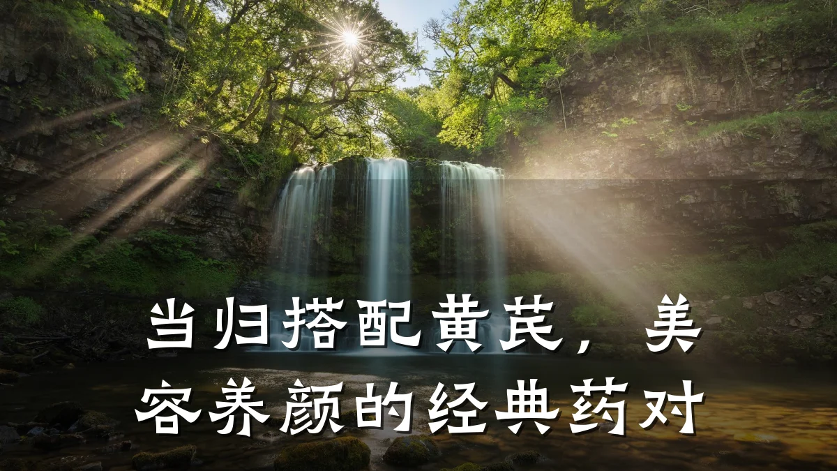 当归搭配黄芪，美容养颜的经典药对