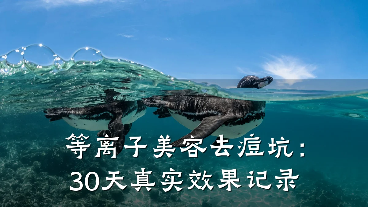 等离子美容去痘坑：30天真实效果记录