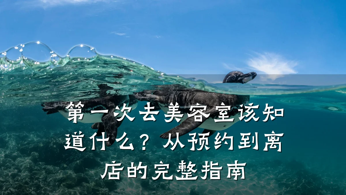 第一次去美容室该知道什么?从预约到离店的完整指南