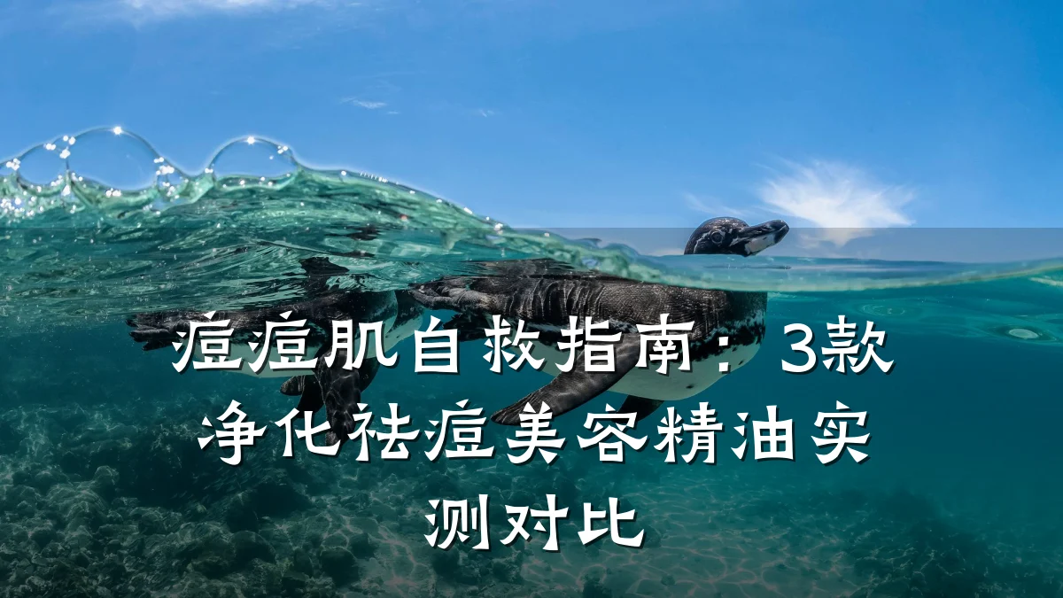 痘痘肌自救指南:3款净化祛痘美容精油实测对比