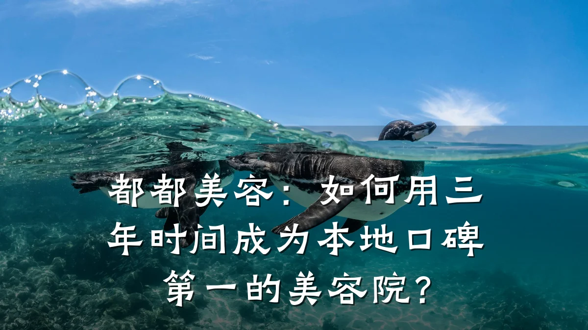 都都美容：如何用三年时间成为本地口碑第一的美容院？