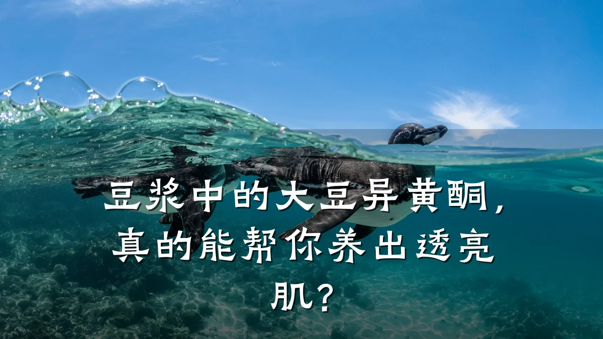 豆浆中的大豆异黄酮，真的能帮你养出透亮肌？