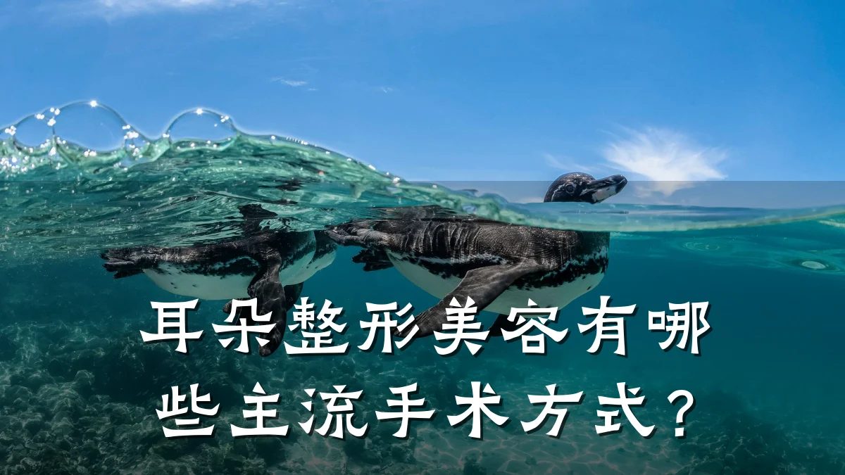 耳朵整形美容有哪些主流手术方式？