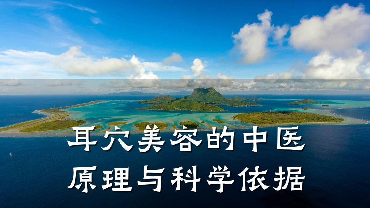 耳穴美容的中医原理与科学依据