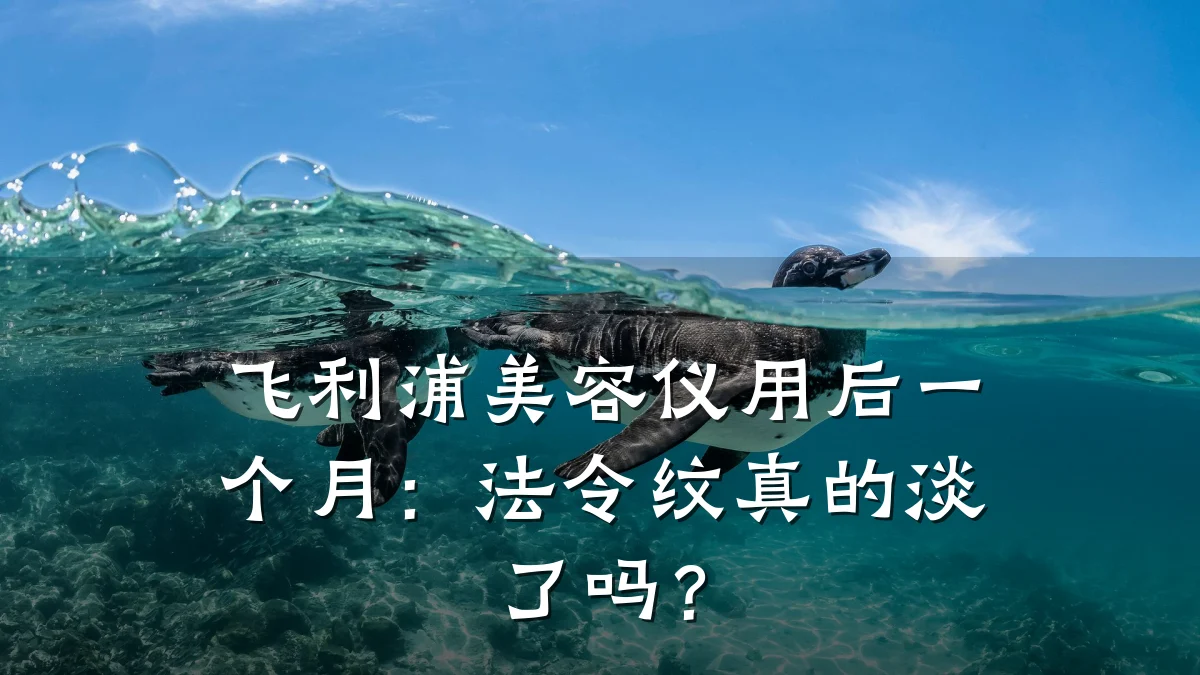 飞利浦美容仪用后一个月：法令纹真的淡了吗？