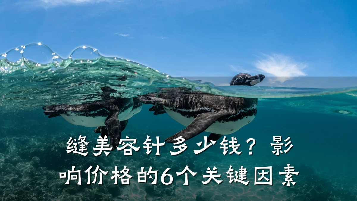 缝美容针多少钱？影响价格的6个关键因素