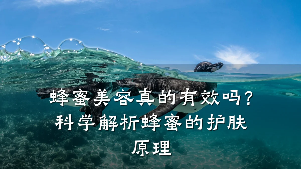 蜂蜜美容真的有效吗？科学解析蜂蜜的护肤原理