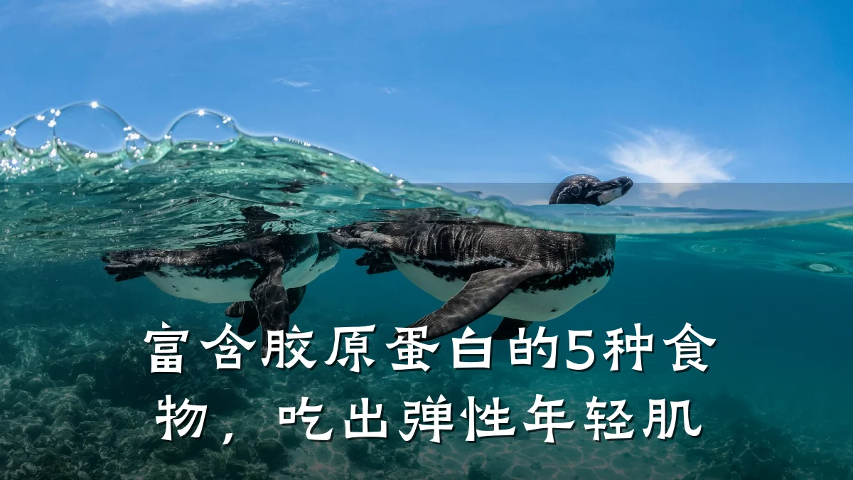 富含胶原蛋白的5种食物，吃出弹性年轻肌