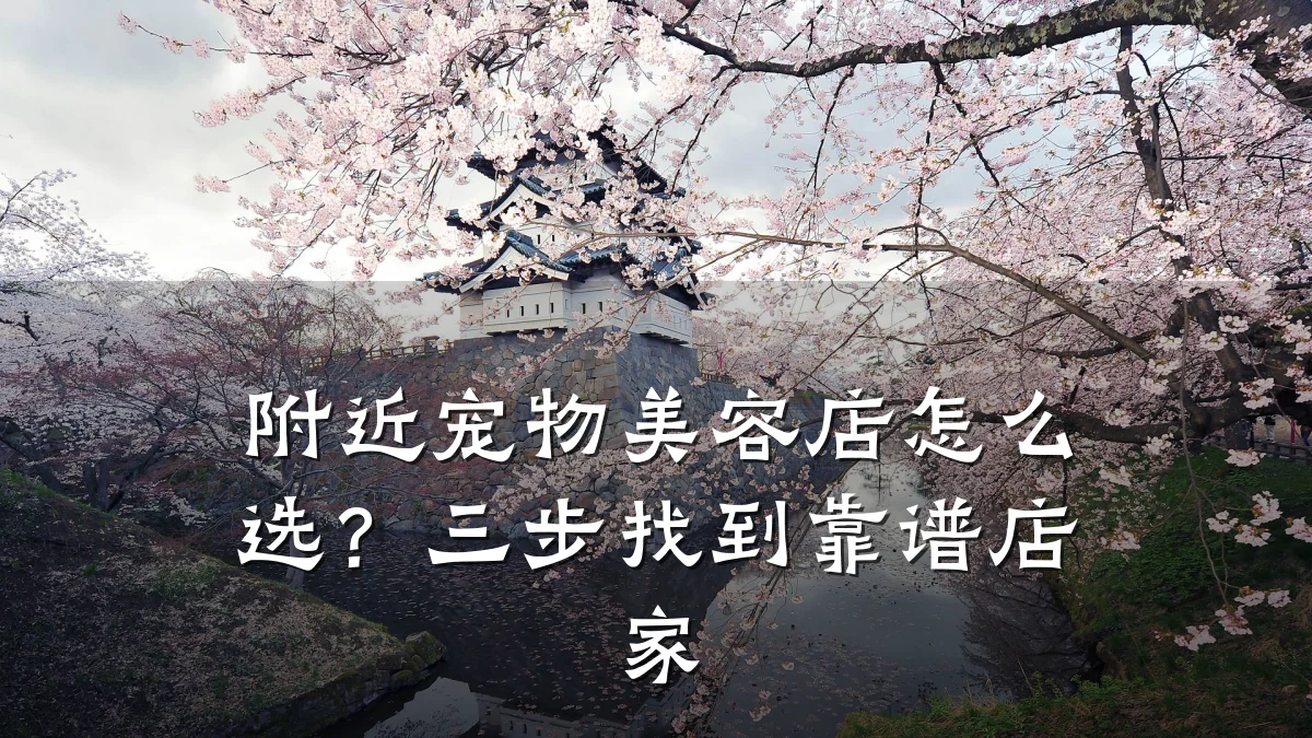 附近宠物美容店怎么选?三步找到靠谱店家