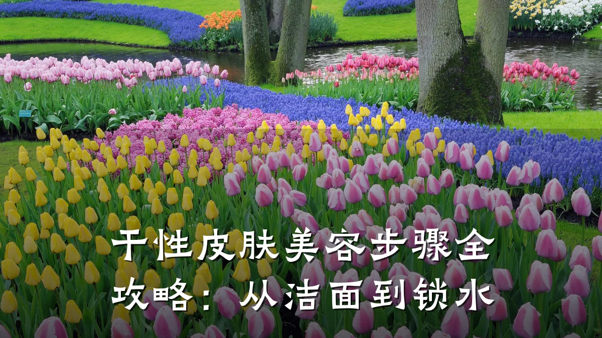 干性皮肤美容步骤全攻略:从洁面到锁水