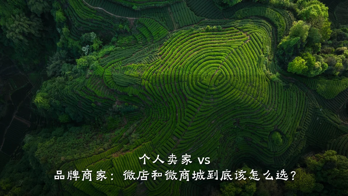 个人卖家 vs 品牌商家:微店和微商城到底该怎么选?