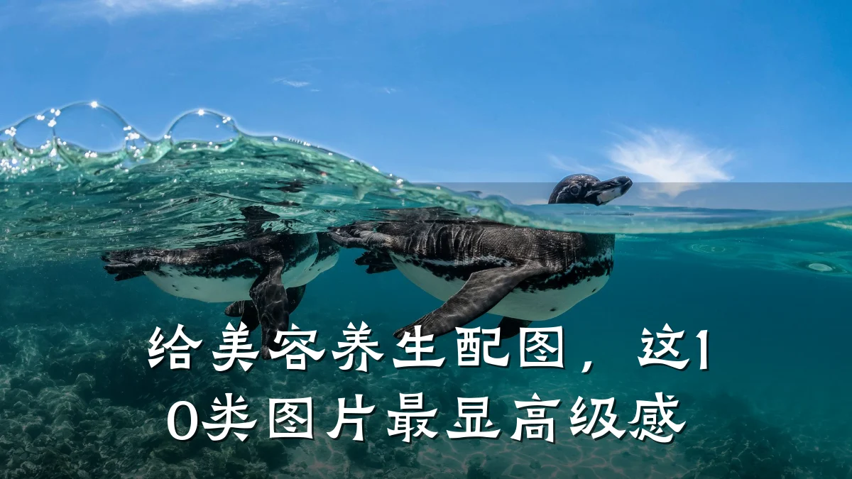 给美容养生配图，这10类图片最显高级感