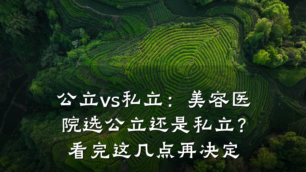 公立vs私立：美容医院选公立还是私立？看完这几点再决定