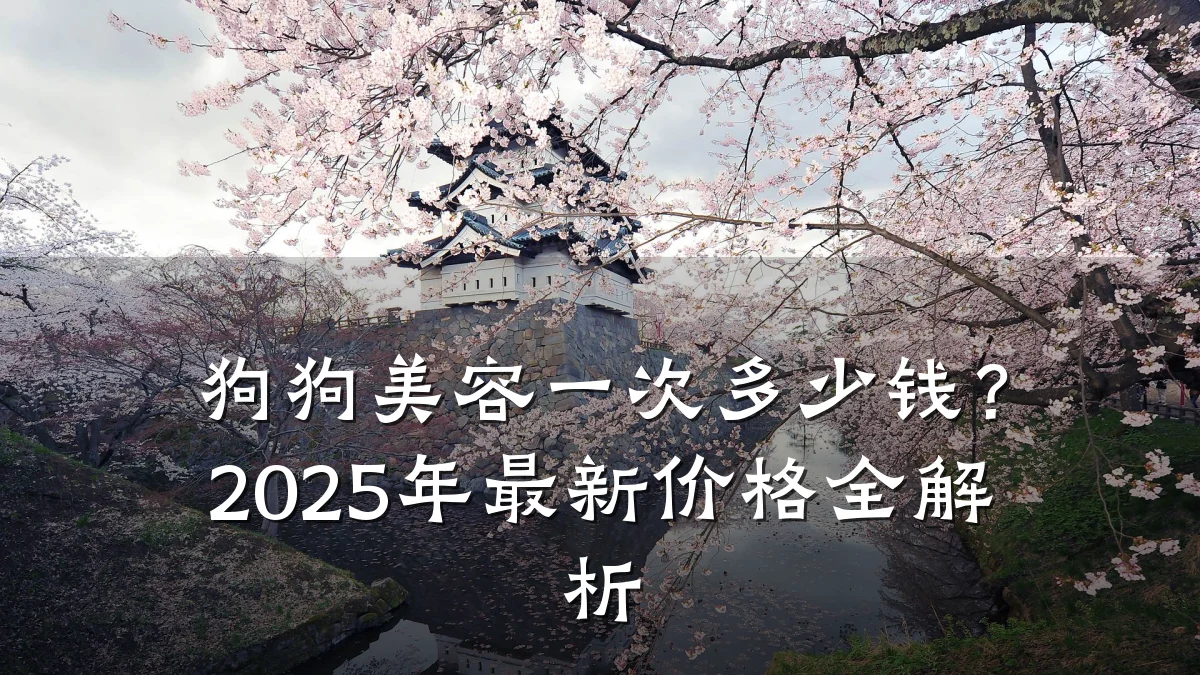 狗狗美容一次多少钱？2025年最新价格全解析