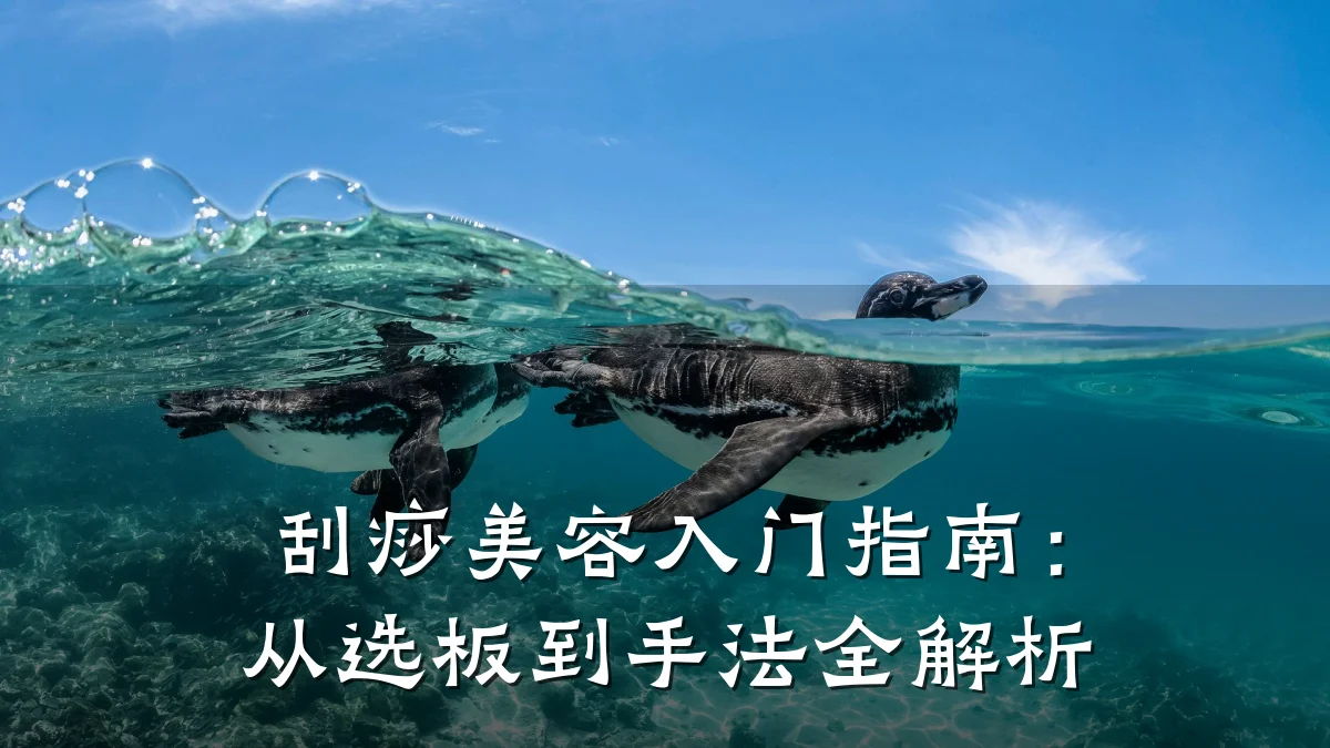 刮痧美容入门指南:从选板到手法全解析
