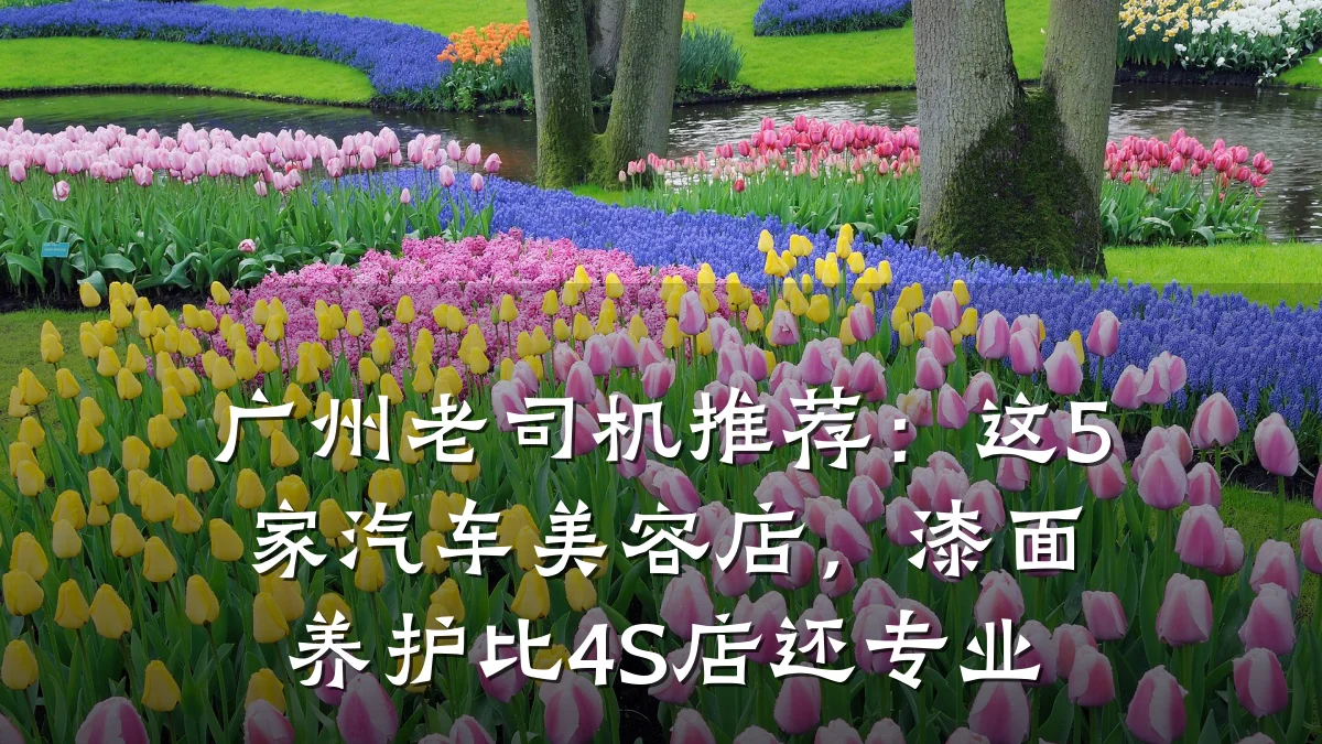 广州老司机推荐:这5家汽车美容店,漆面养护比4S店还专业