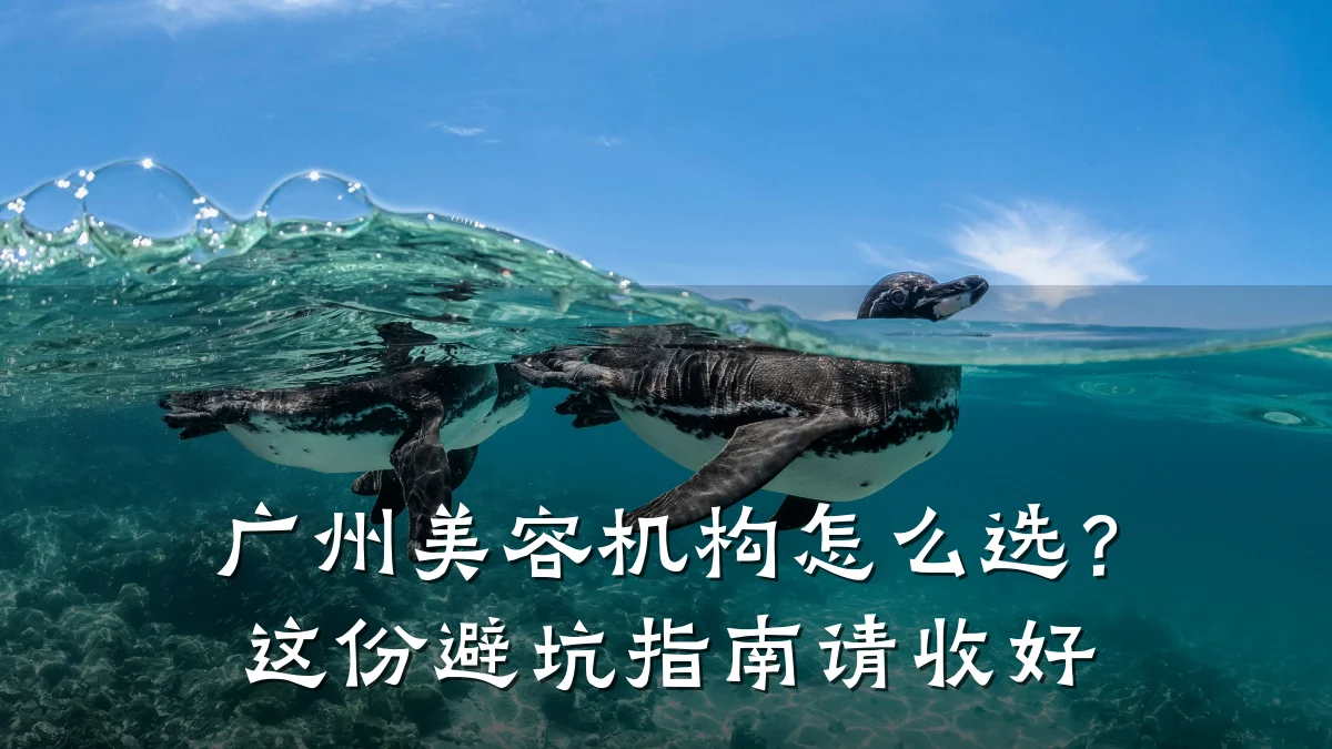 广州美容机构怎么选？这份避坑指南请收好