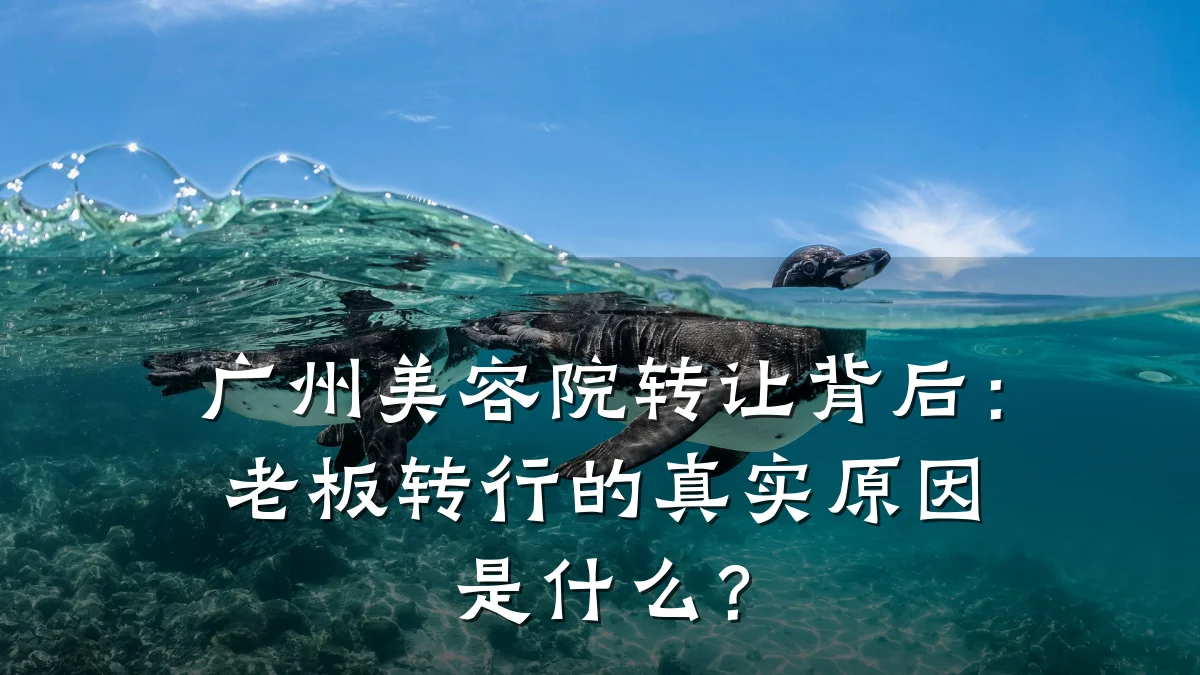 广州美容院转让背后：老板转行的真实原因是什么？