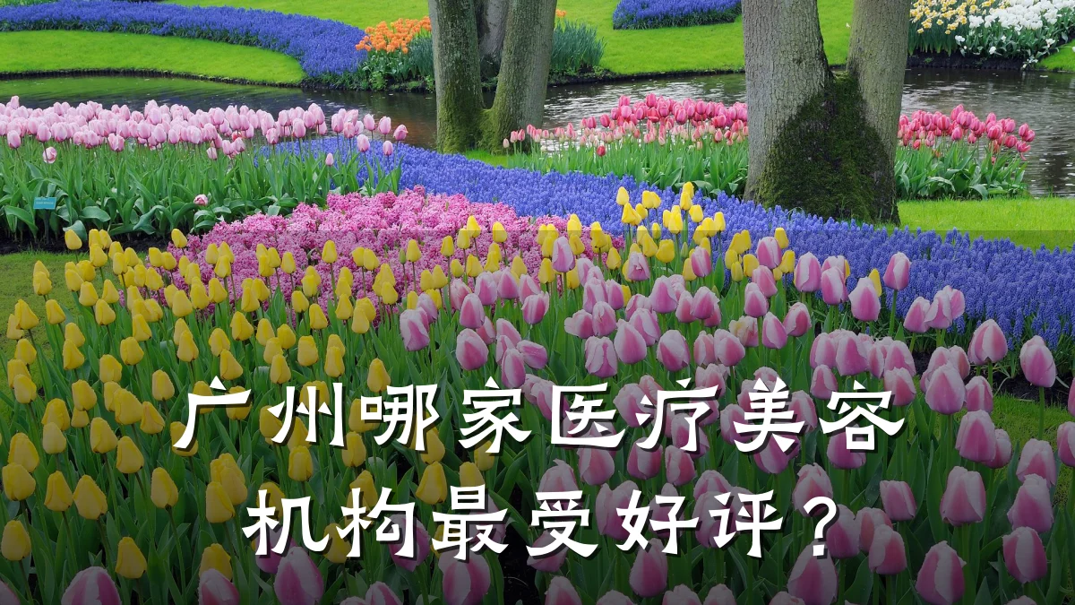 广州哪家医疗美容机构最受好评?