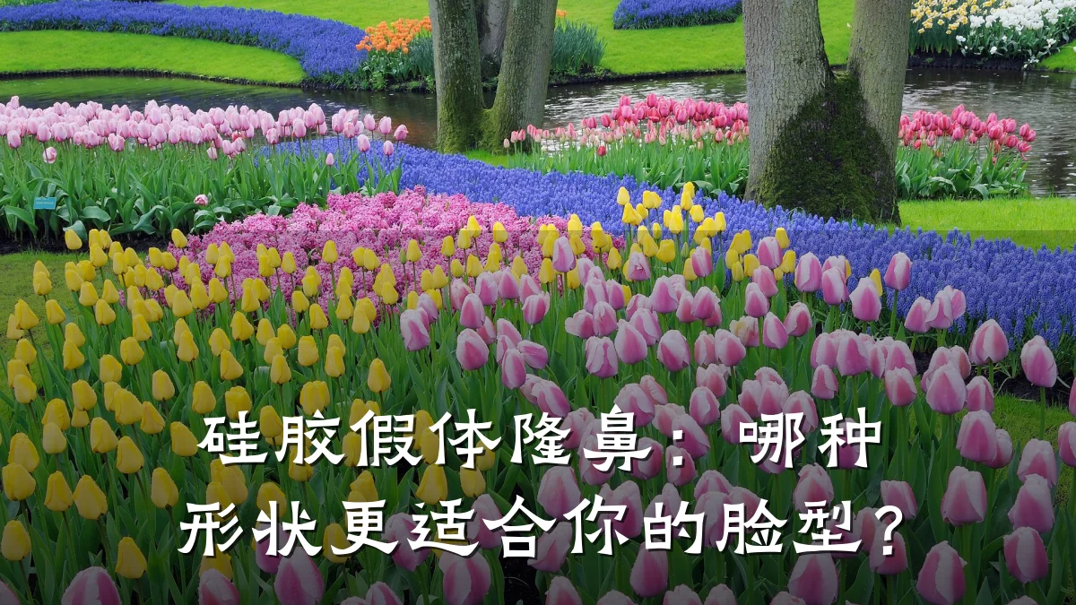硅胶假体隆鼻:哪种形状更适合你的脸型?