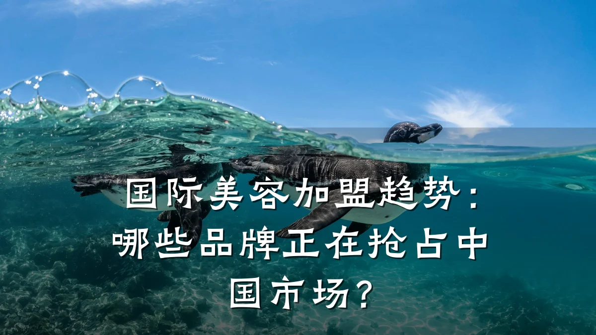国际美容加盟趋势：哪些品牌正在抢占中国市场？