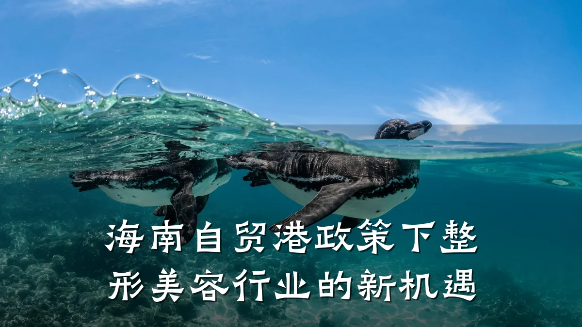 海南自贸港政策下整形美容行业的新机遇